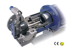 Pompa Rotan Seria ED - zdjęcie przekrój